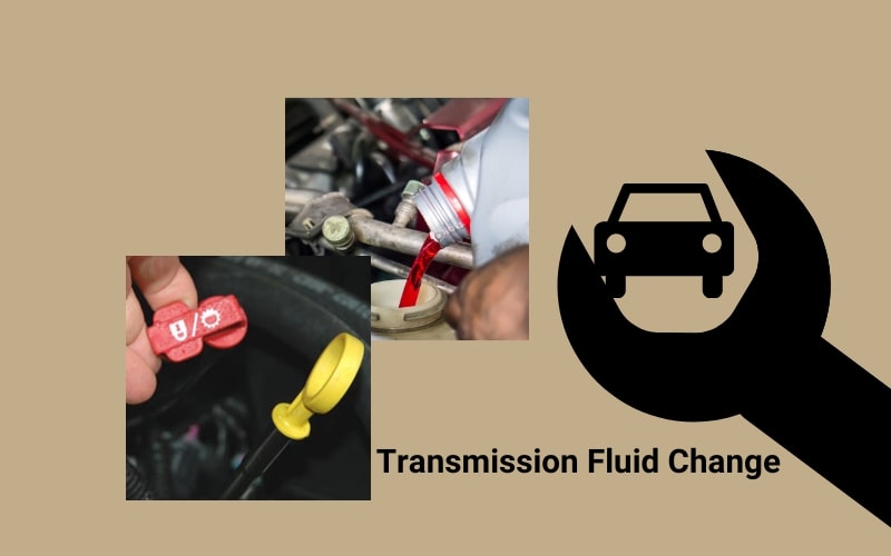 Transmission Fluid Change